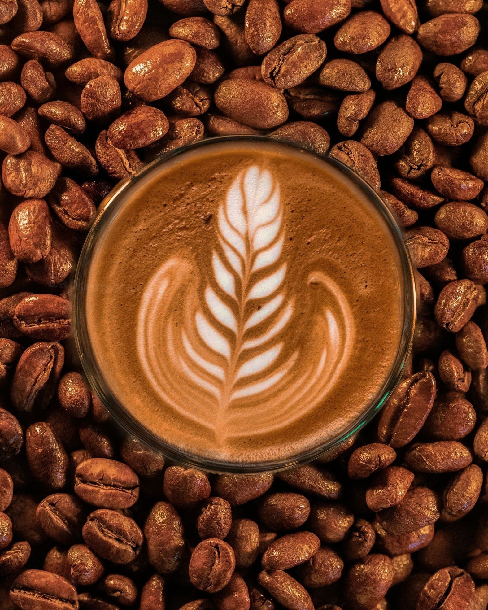 Zelflit Kaffee